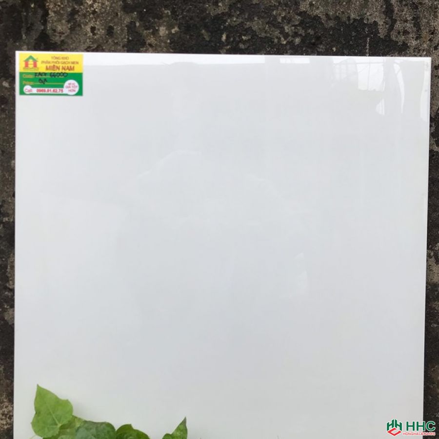 Gạch 60x60 TTC KA17PN66000